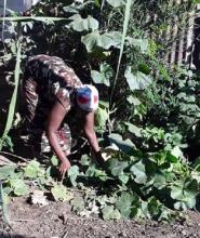 Urban farming: Katwe residents leave no space to waste By Nakandi Mastula